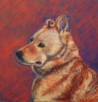Rozi in Red7.5" x 8.25"